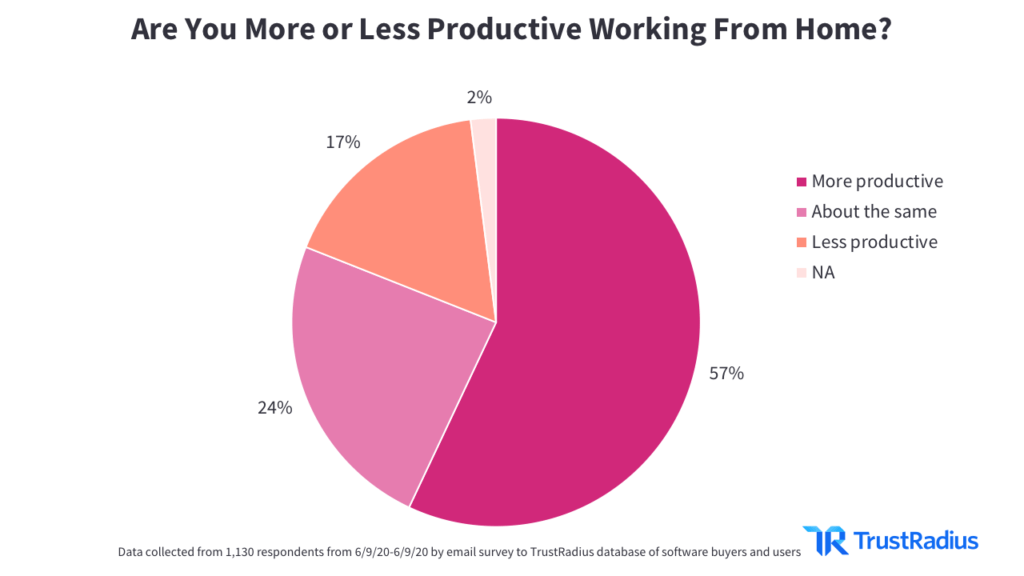 Pie chart showing if employees are more or less productive working from home
